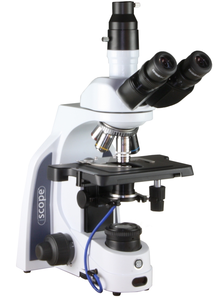 Euromex Microscoop - Donkerveld - iScope - Trinoculair